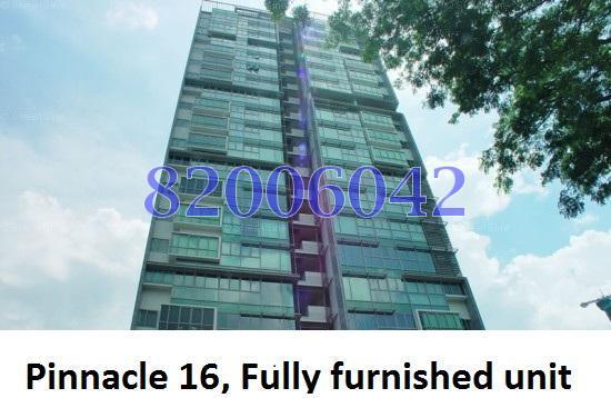 Pinnacle 16 (D12), Apartment #129029962